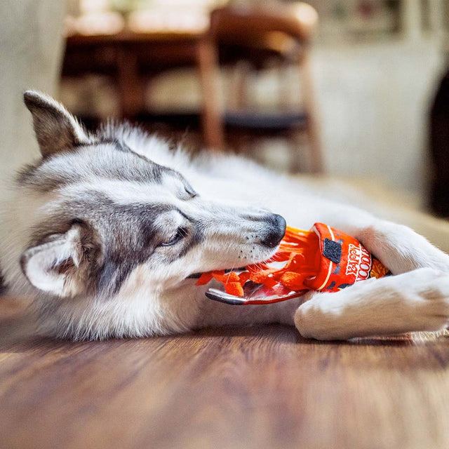 P.L.A.Y. Hundespielzeug Slurp It Up Stoffspielzeug