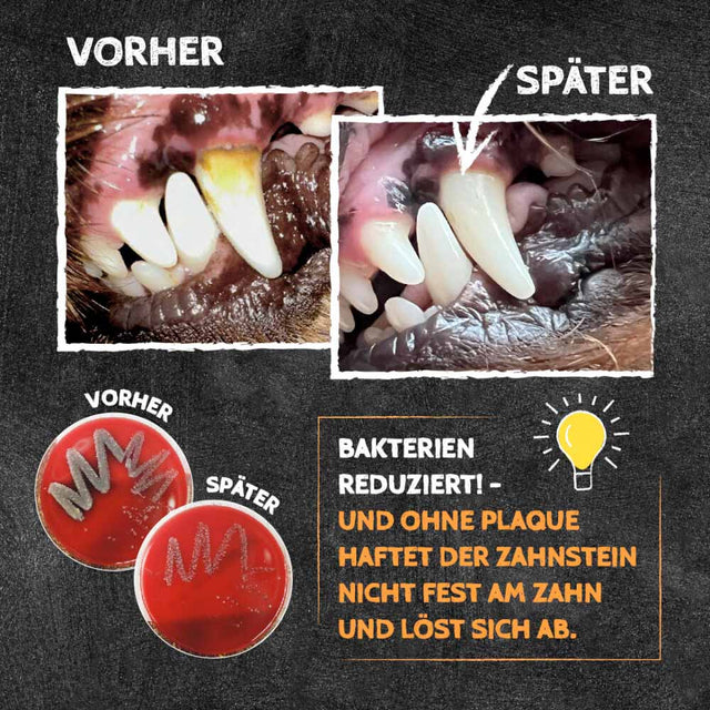 QChefs Zahnputzkohle, 80g Zahnpflege