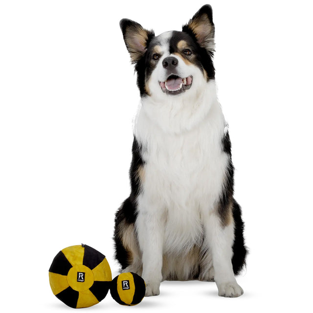 Redoggo Hundespielzeug Ball, Bunt Stoffspielzeug