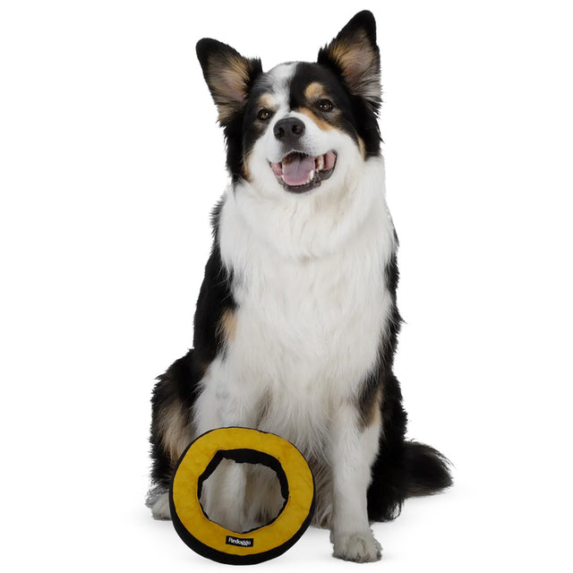 Redoggo Hundespielzeug Donut, Neon-Petrol Stoffspielzeug