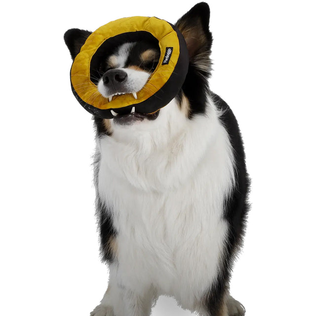 Redoggo Hundespielzeug Donut, Neon-Petrol Stoffspielzeug