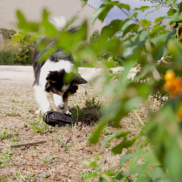 Redoggo Futterdummy, groß Futterdummy