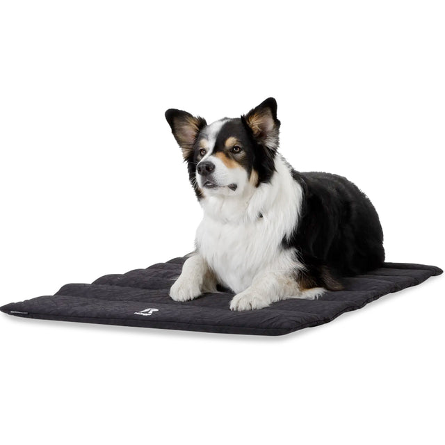 Redoggo Hundedecke, Anti-Rutsch Stoffspielzeug