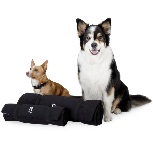 Redoggo Hundedecke, Anti-Rutsch Stoffspielzeug