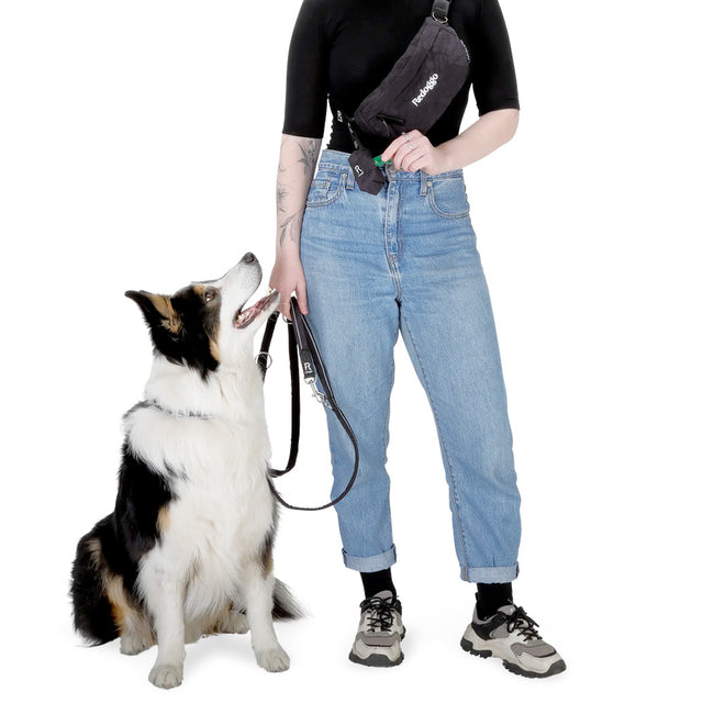 Redoggo Kotbeutelspender Hundekotbeutel