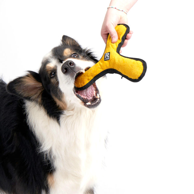 Redoggo Hundespielzeug Bumerang Stoffspielzeug