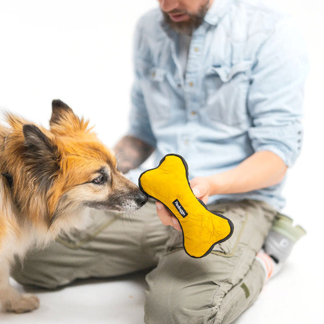 Redoggo Hundespielzeug Knochen, Orange-Blau Stoffspielzeug