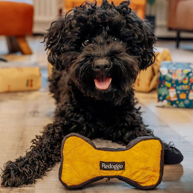 Redoggo Hundespielzeug Knochen, Orange-Blau Stoffspielzeug