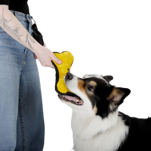 Redoggo Hundespielzeug Knochen, Gelb-Schwarz Stoffspielzeug