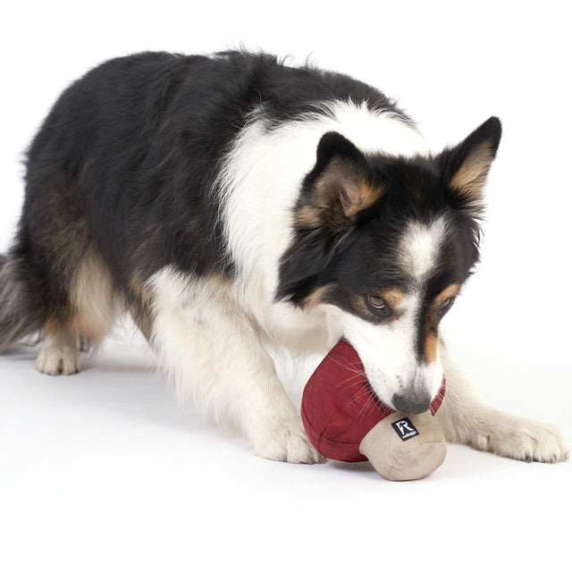 Redoggo Hundespielzeug Pilz Interaktiv