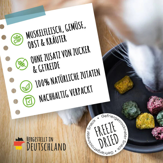 SmoothieDog Smoothie Bites, gefriergetrockneter Snack, Huhn Fleischsnacks