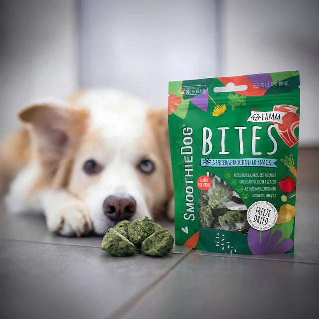 SmoothieDog Smoothie Bites, gefriergetrockneter Snack, Lamm Fleischsnacks