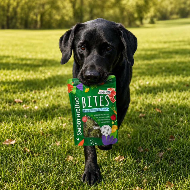 SmoothieDog Smoothie Bites, gefriergetrockneter Snack, Lamm Fleischsnacks