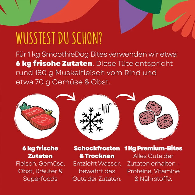 SmoothieDog Smoothie Bites, gefriergetrockneter Snack, Rind Fleischsnacks
