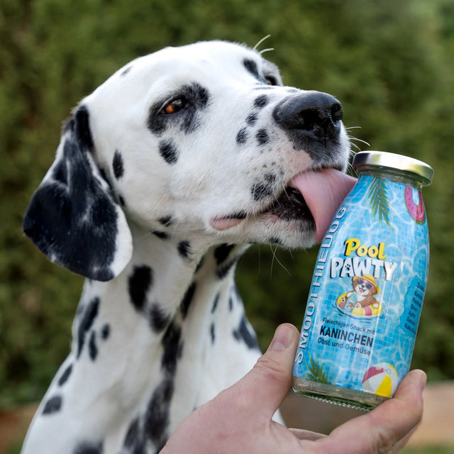 SmoothieDog Hundesmoothie, Pool Pawty, Kaninchen Fleischsnacks