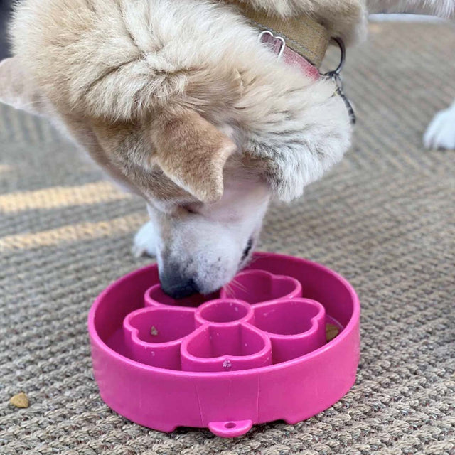 Sodapup Antischlingnapf | eBowl Flower Bowl pink Interaktiv