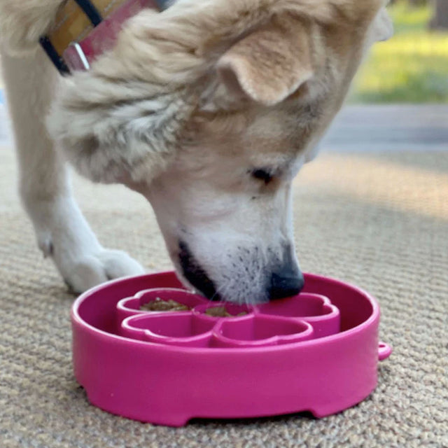 Sodapup Antischlingnapf | eBowl Flower Bowl pink Interaktiv