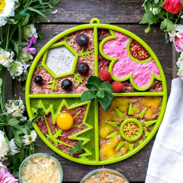 Sodapup Antischlingnapf | eBowl Four Seasons Interaktiv