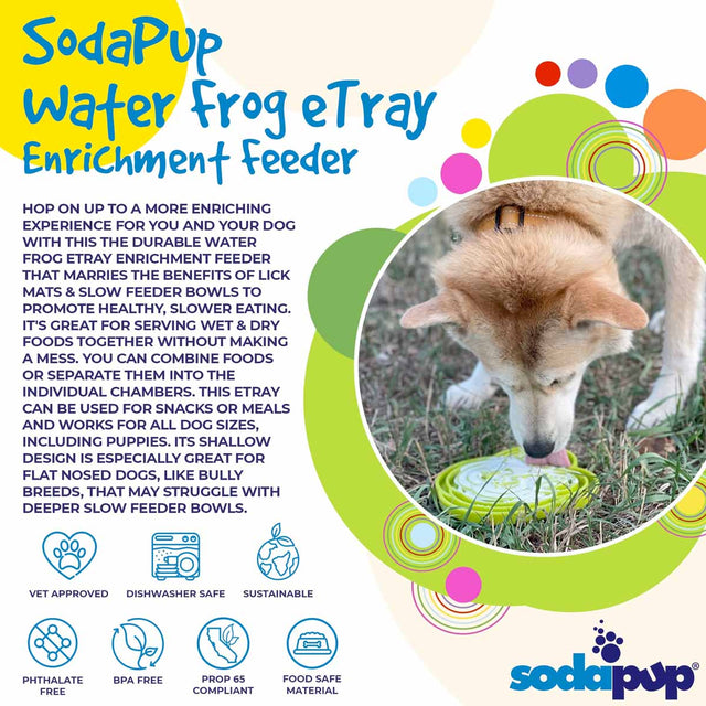 Sodapup Antischlingnapf | eTray Frosch Lila Interaktiv