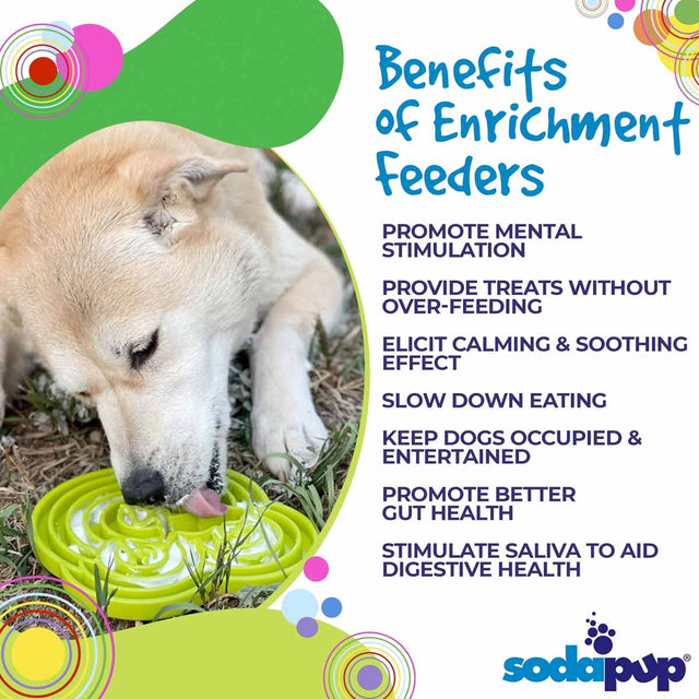 Sodapup Antischlingnapf | eTray Frosch Lila Interaktiv