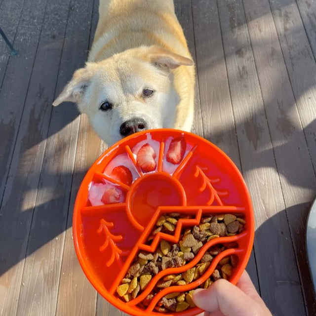 Sodapup Antischlingnapf | eBowl Great Outdoors Grün Interaktiv