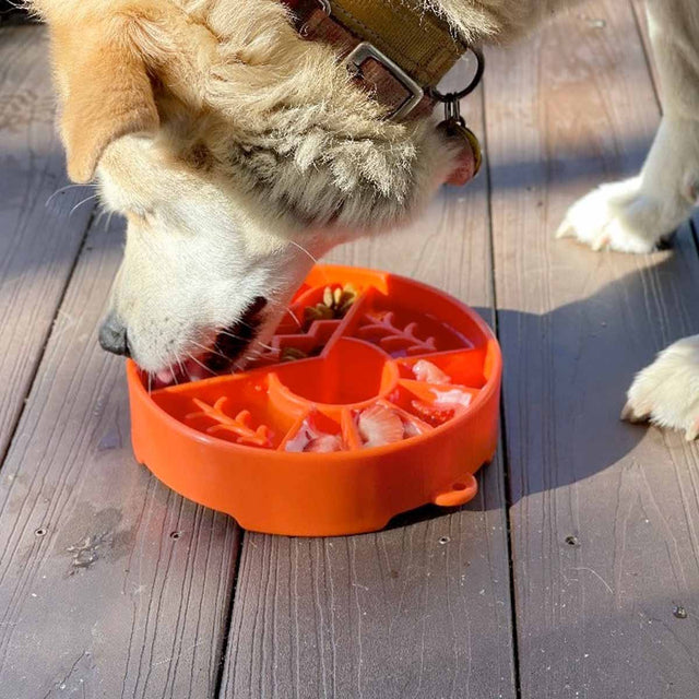 Sodapup Antischlingnapf | eBowl Great Outdoors Grün Interaktiv