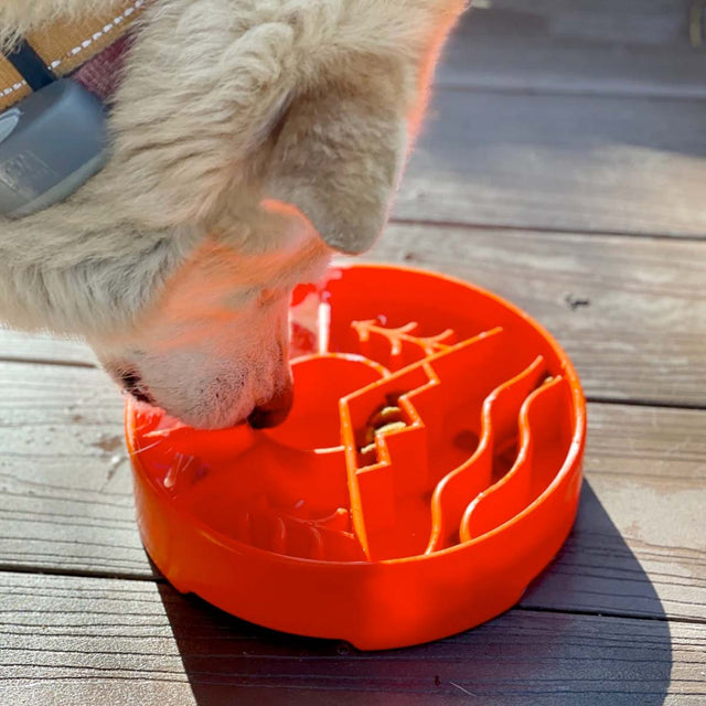 Sodapup Antischlingnapf | eBowl Great Outdoors Grün Interaktiv