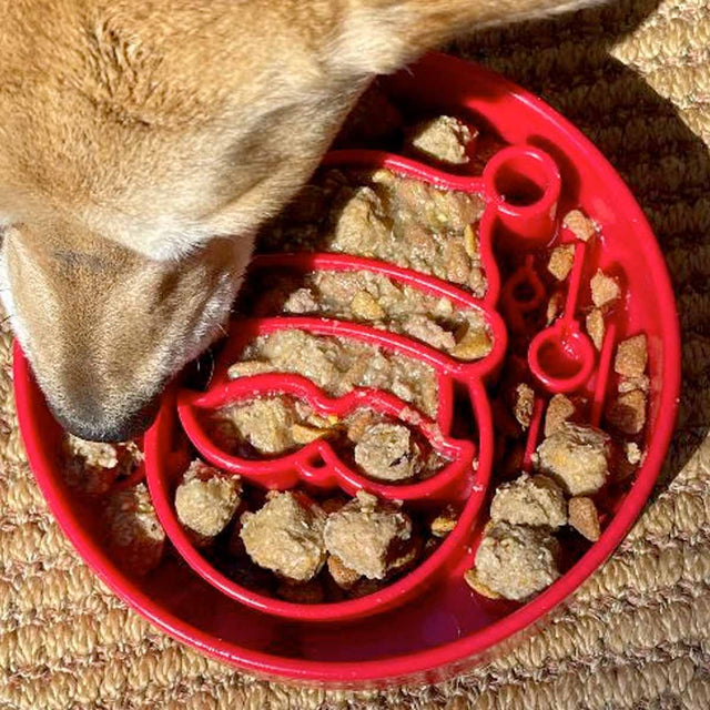 Sodapup Antischlingnapf | eBowl Santa Interaktiv