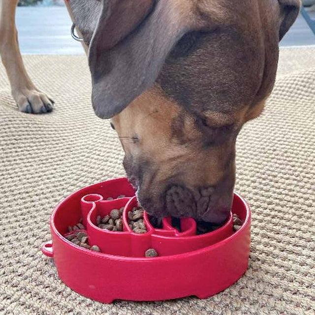 Sodapup Antischlingnapf | eBowl Santa Interaktiv