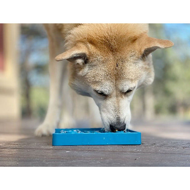 Sodapup Antischlingnapf eTray Waiting Dogs Interaktiv