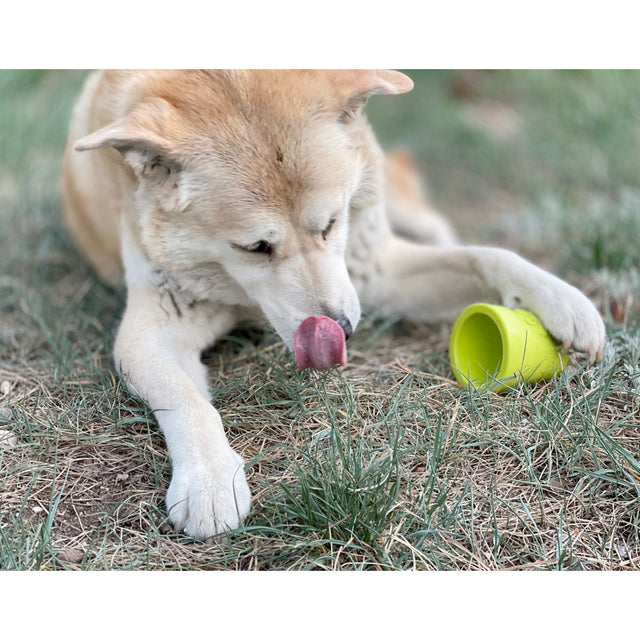 Sodapup Leckerlispender Flower Pot, Grün Interaktiv