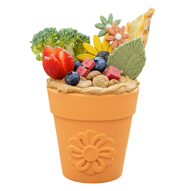 Sodapup Leckerlispender Flower Pot, Orange Interaktiv