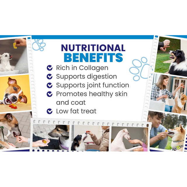 Sodapup Eis-Silikonform Jelly Shots, Paw Interaktiv