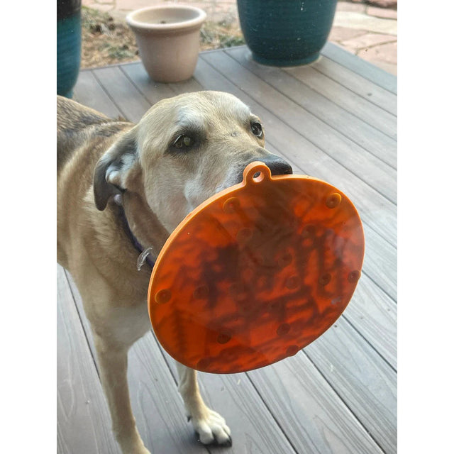 Sodapup Leckmatte | eMat Camp orange Interaktiv