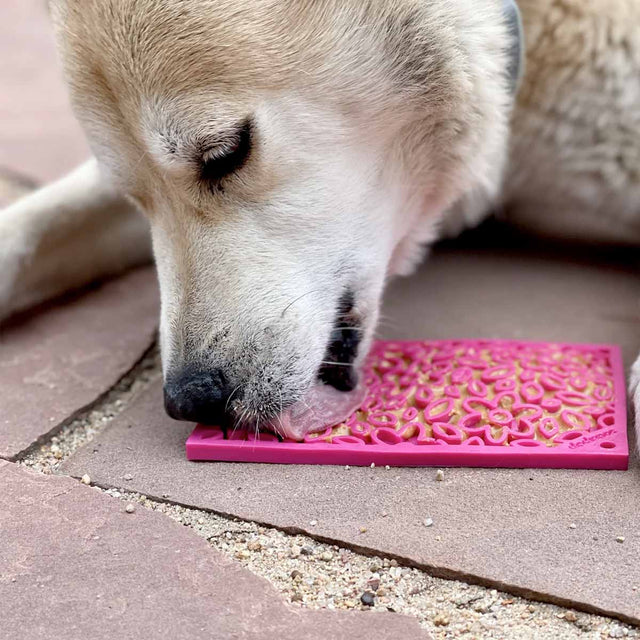 Sodapup Leckmatte Flower Power Interaktiv