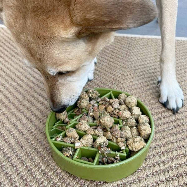 Sodapup Antischlingnapf | eBowl Pine Tree Interaktiv