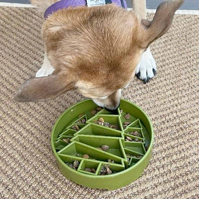 Sodapup Antischlingnapf | eBowl Pine Tree Interaktiv