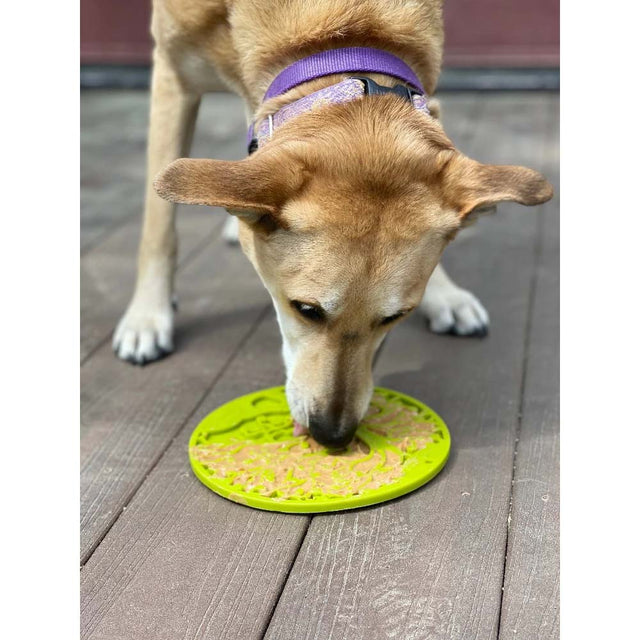 Sodapup Leckmatte | eMat Tree of Life Interaktiv