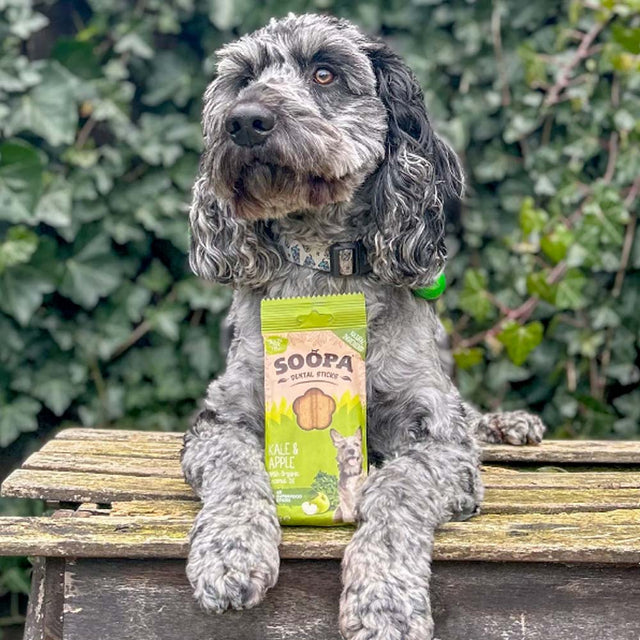 Soopa Dental Sticks, Grünkohl & Apfel Zahnpflege