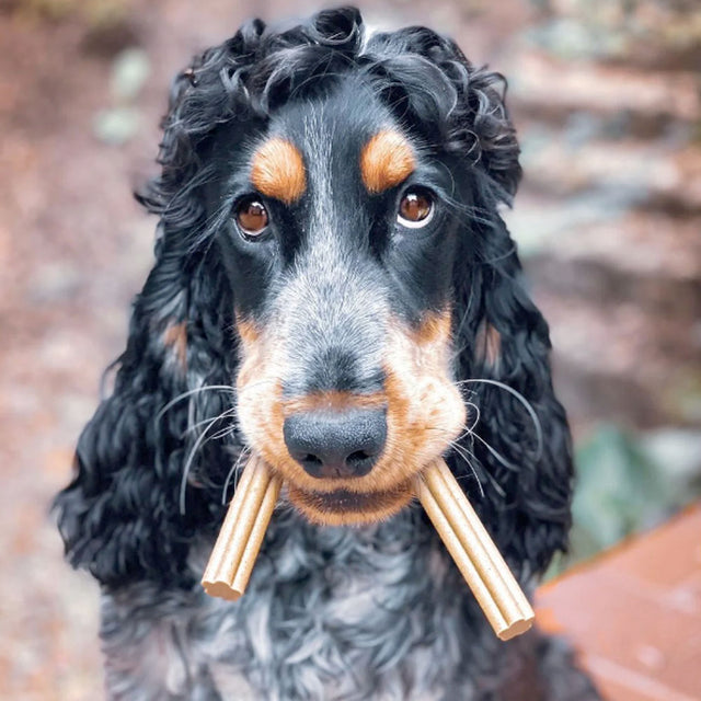 Soopa Dental Sticks, Grünkohl & Apfel Zahnpflege