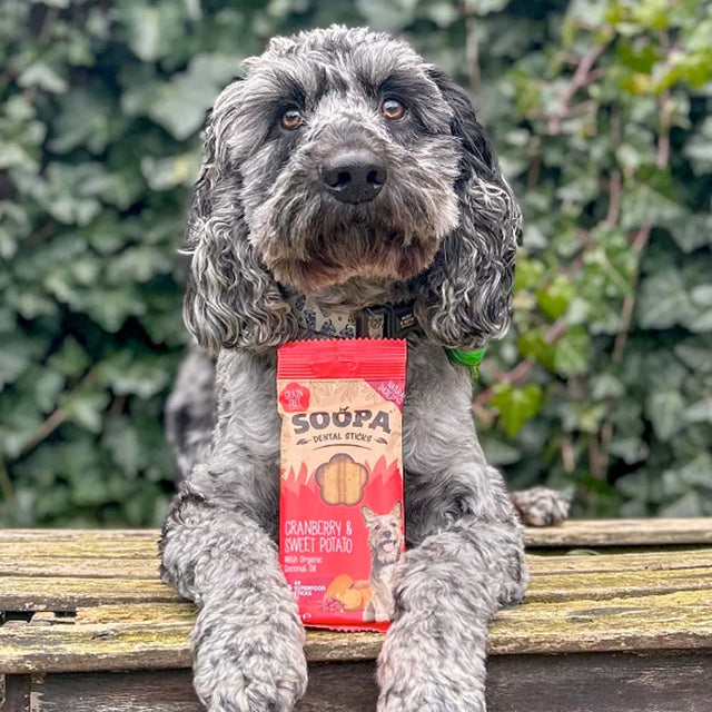 Soopa Dental Sticks, Cranberry & Süßkartoffel Zahnpflege