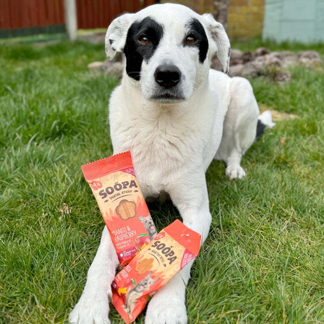 Soopa Dental Sticks, Mango & Himbeere Zahnpflege