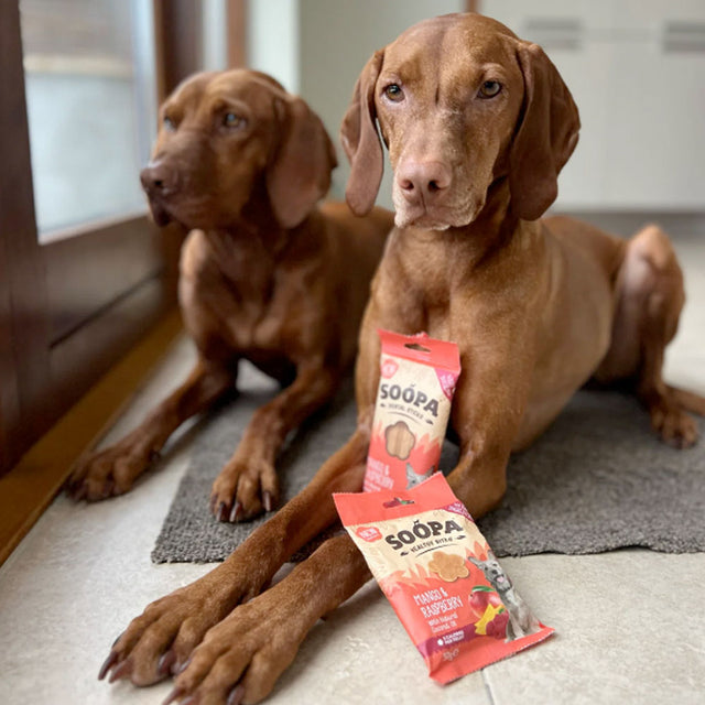 Soopa Dental Sticks, Mango & Himbeere Zahnpflege