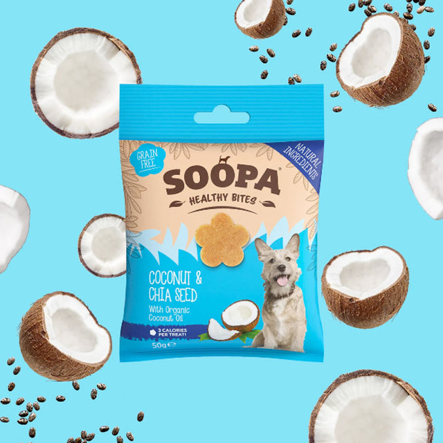 Healthy Bites, Kokos & Chiasamen