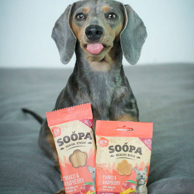 Soopa Hundeleckerli Bites, Mango & Himbeer Hundeleckerli