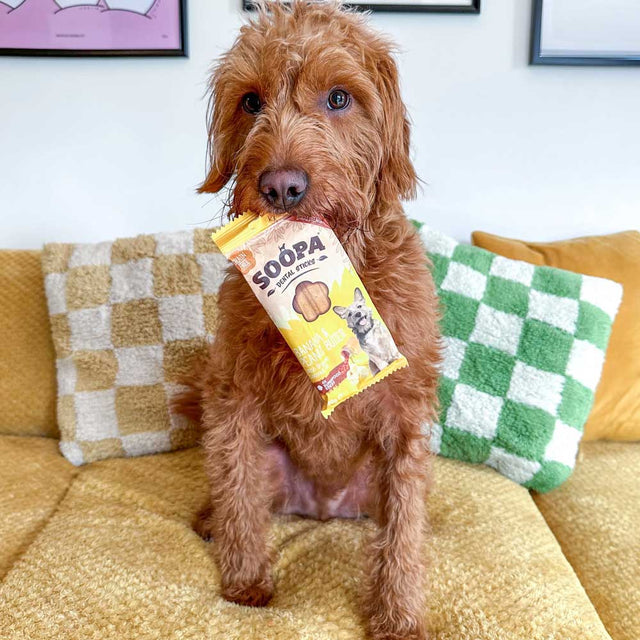 Soopa Dental Sticks, Banane & Erdnussbutter Zahnpflege