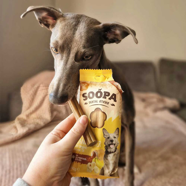 Soopa Dental Sticks, Banane & Erdnussbutter Zahnpflege