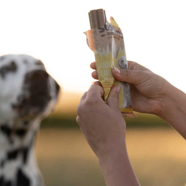 Soopa Jumbo Dental Sticks, Banane & Erdnussbutter Zahnpflege