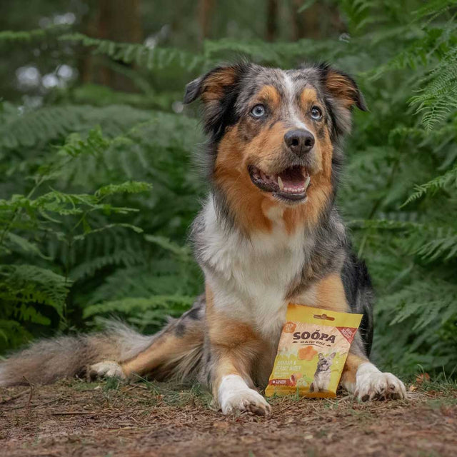 Soopa Hundekekse, Banane & Erdnussbutter Bites Hundekeks