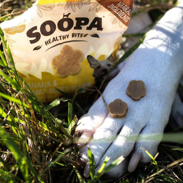 Soopa Hundekekse | Banane & Erdnussbutter Bites Hundekeks